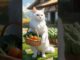 A white cat guides cooking #ai #cat #cooking #funny #cute