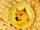 Dogecoin