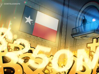 Texas lawmaker seeks to cap state’s proposed BTC purchases to $250M