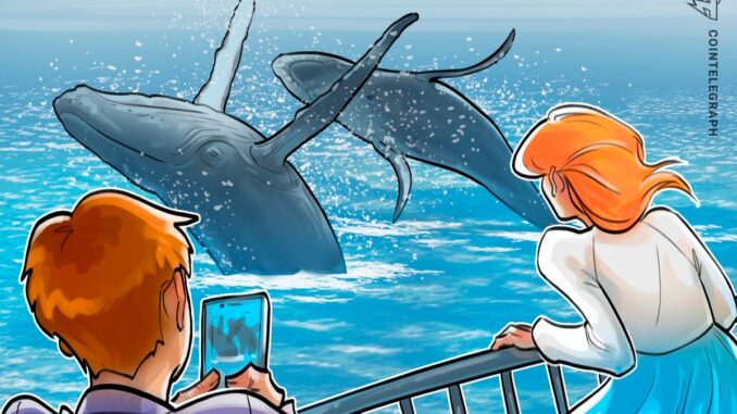 ZachXBT says he unmasked mysterious 50x Hyperliquid whale ZachXBT says he unmasked mysterious 50x Hyperliquid whale