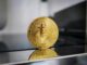 Satoshi Nakamoto, Craig Wright, Mt. Gox, Bitcoin, crypto