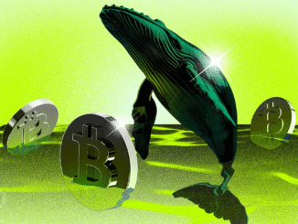 New Bitcoin Whales Now Hold Majority of BTC Capital