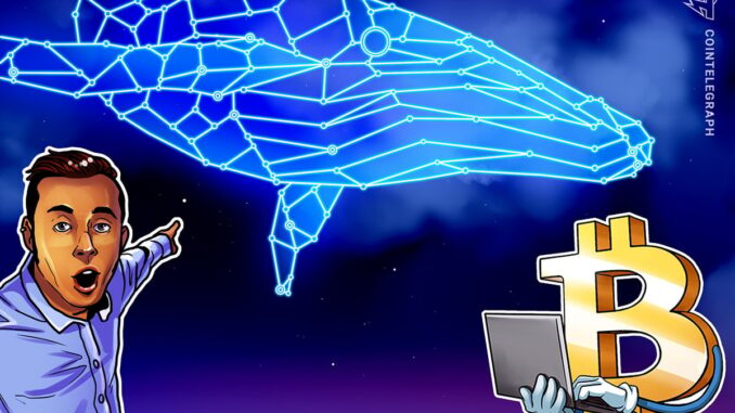 Spot Bitcoin ETF inflows fall, but BTC whale activity points Spot Bitcoin ETF inflows fall, but BTC whale activity points to bull market acceleration
