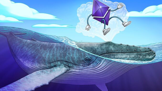 Whale buys back ETH holdings after missing $2.6M gain Whale buys back ETH holdings after missing $2.6M gain