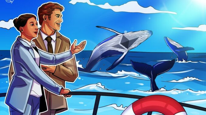 Ethereum whales post strongest net buying since 2018 Ethereum whales post strongest net buying since 2018